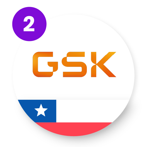 2.GSK